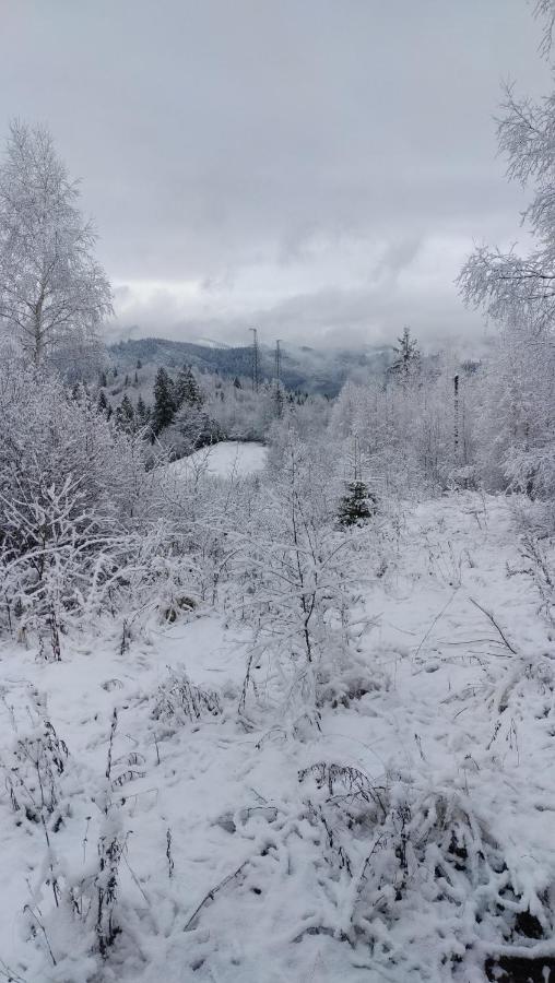 אכסניה Zacharovany Karpaty